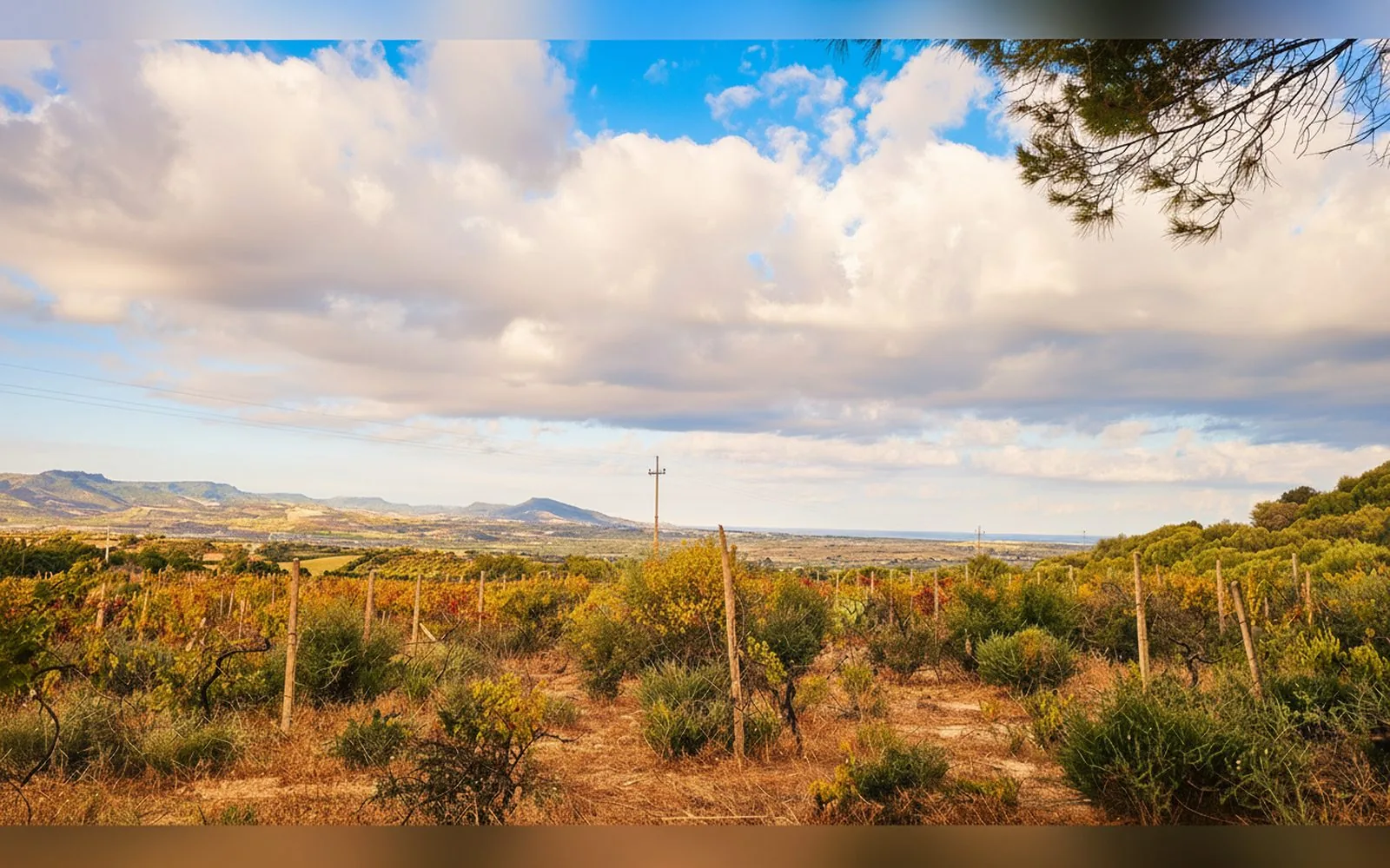 Villa Jolies, 